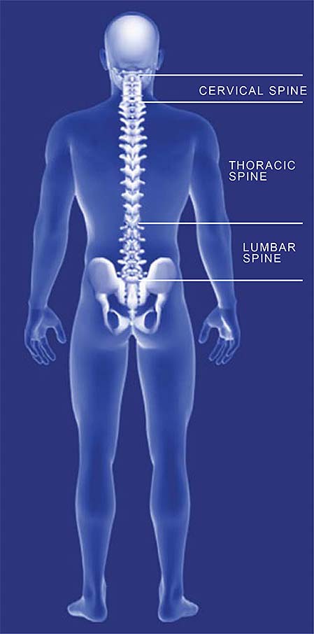 10 Biggest Unlock Your Spine Reviews Mistakes You Can Easily Avoid